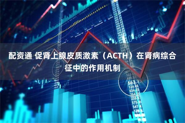 配资通 促肾上腺皮质激素（ACTH）在肾病综合征中的作用机制