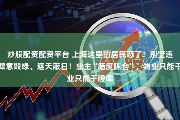 炒股配资配资平台 上海这里的居民怒了！别墅违建，肆意毁绿、遮天蔽日！业主“暗度陈仓”，物业只能干瞪眼