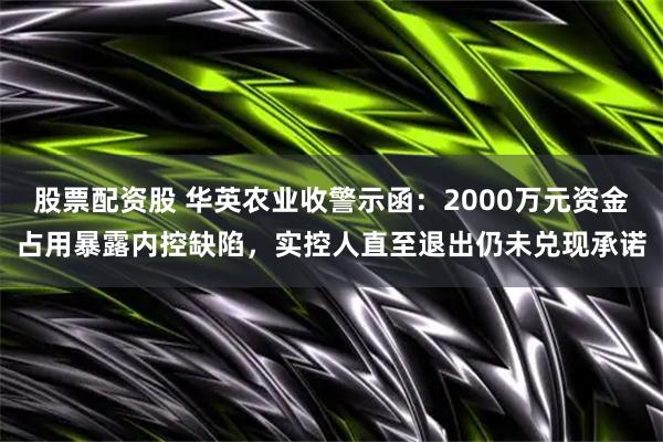 股票配资股 华英农业收警示函：2000万元资金占用暴露内控缺陷，实控人直至退出仍未兑现承诺