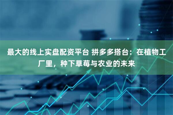 最大的线上实盘配资平台 拼多多搭台：在植物工厂里，种下草莓与农业的未来